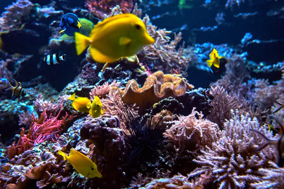 Biglietti per SEA LIFE Berlin®