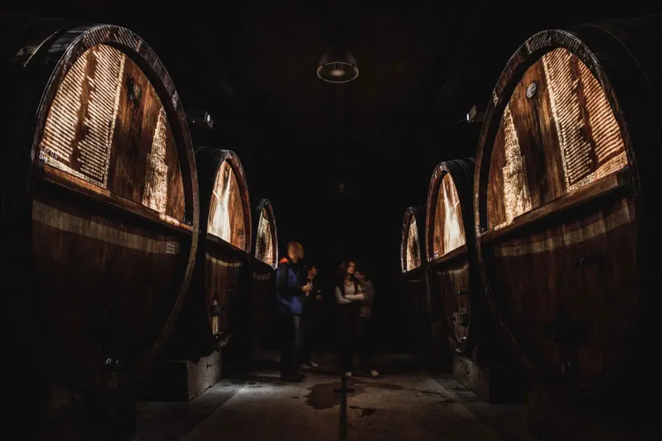 Alsacia: Cata guiada de vinos y visita a la bodega