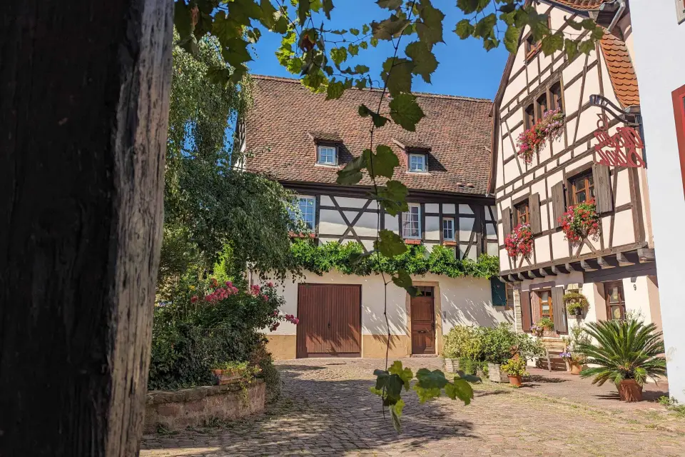 Colmar: inusual tour a pie con guía local