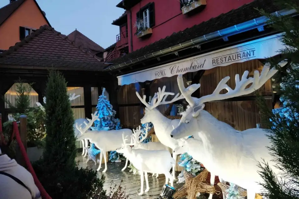 Desde Colmar: mercados navideños en 3 países