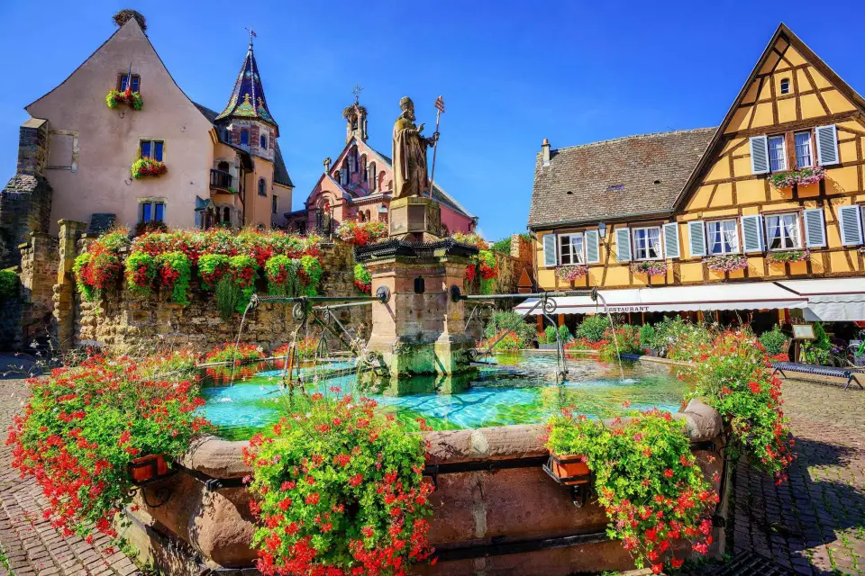 Desde Colmar: Ruta del vino de Alsacia Medio día
