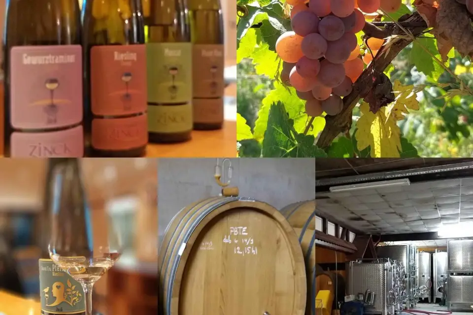 Degustación de vinos de Alsacia