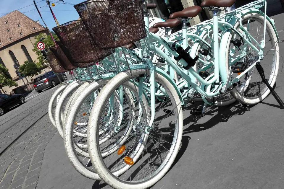 Estrasburgo: alquiler de bicicleta de 1 día