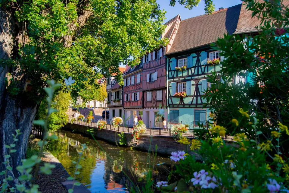 Desde Estrasburgo: Excursión de un día por lo mejor de la Alsacia histórica