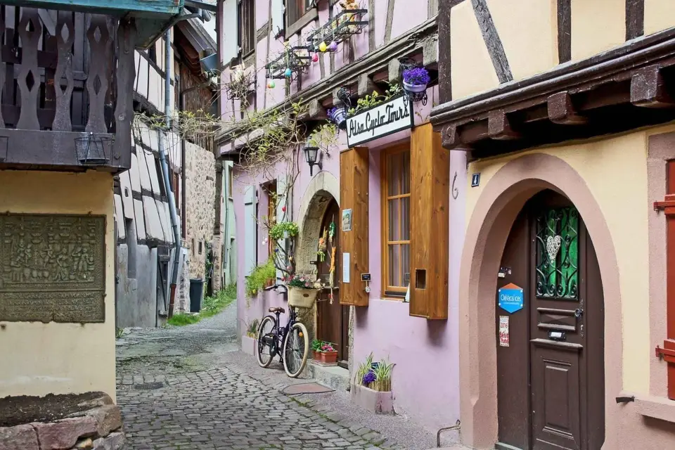 Estrasburgo: Tour Privado de Cata de Vinos