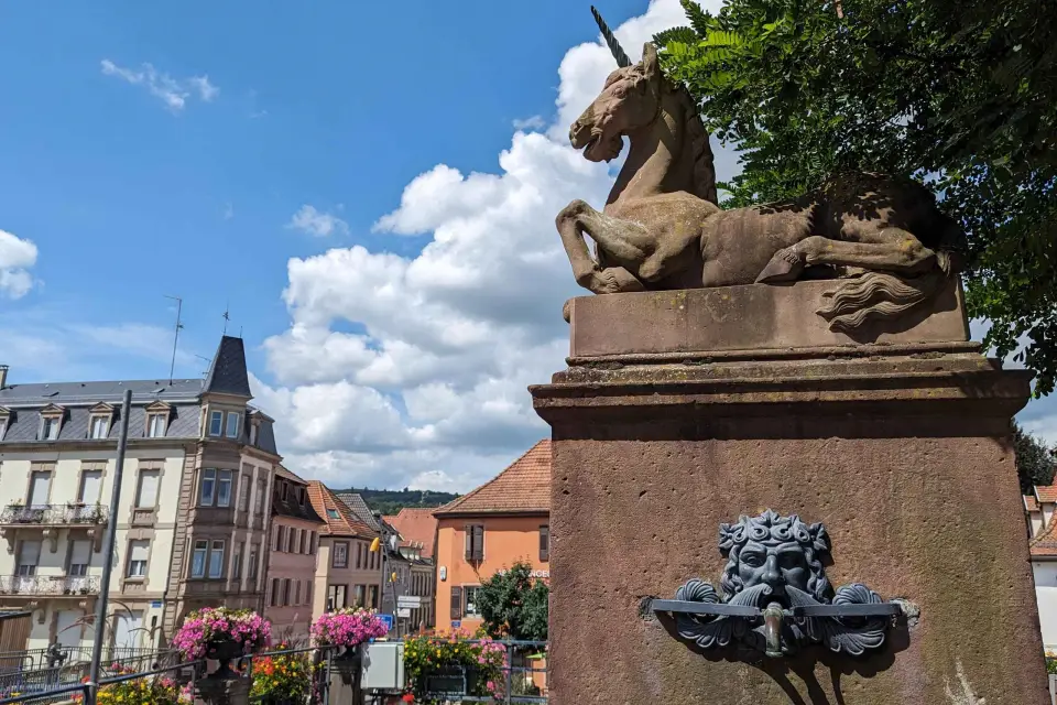 Saverne : Lo más destacado del tour a pie