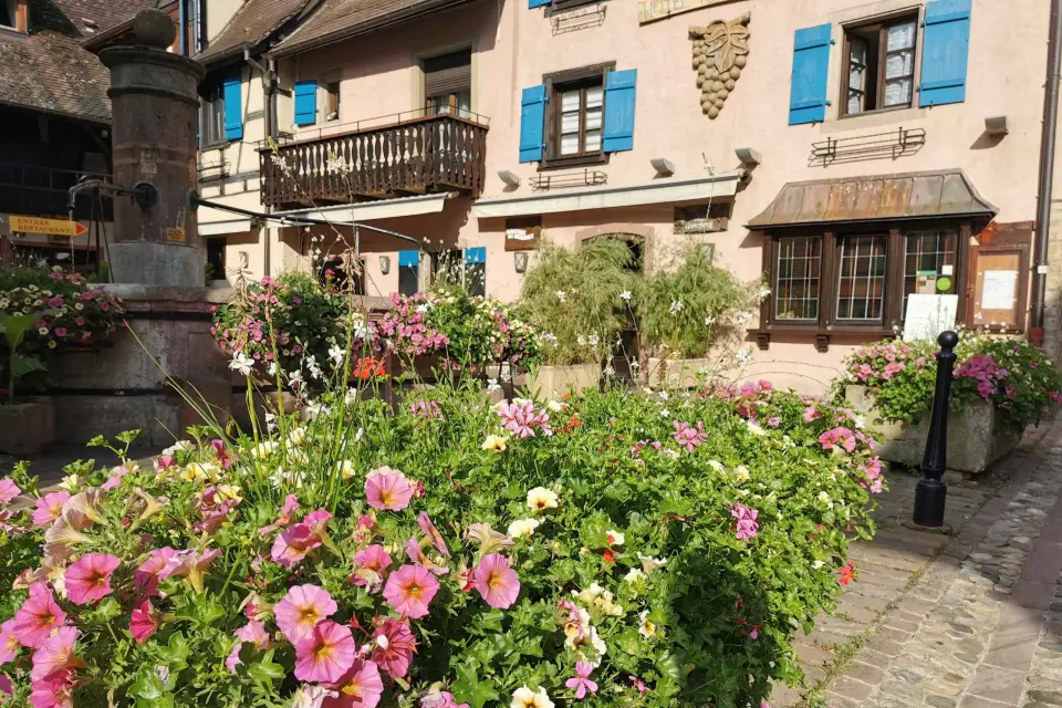 Tour de día completo por pueblos y viñedos Degustación de vinos
