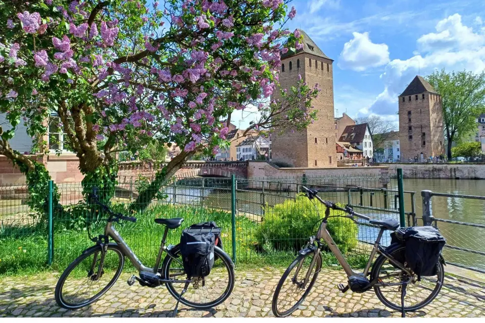 Tour guiado en e-bici por Estrasburgo en 2h30