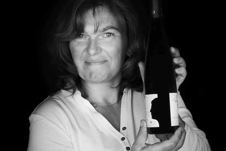 Alsacia: Visita a Bodega con Degustaciones Ilimitadas