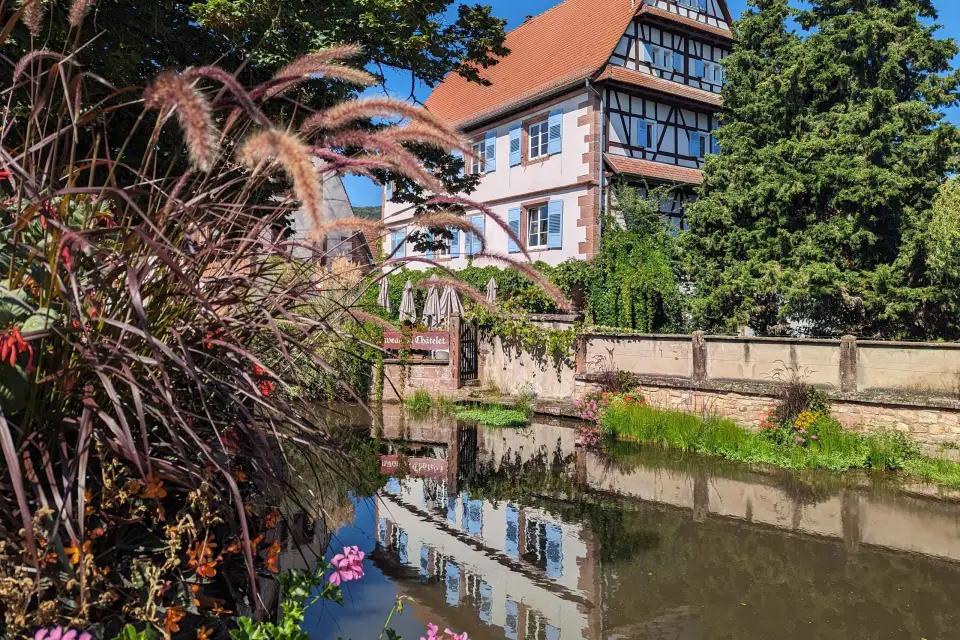 Wissembourg : Lo más destacado de un tour a pie