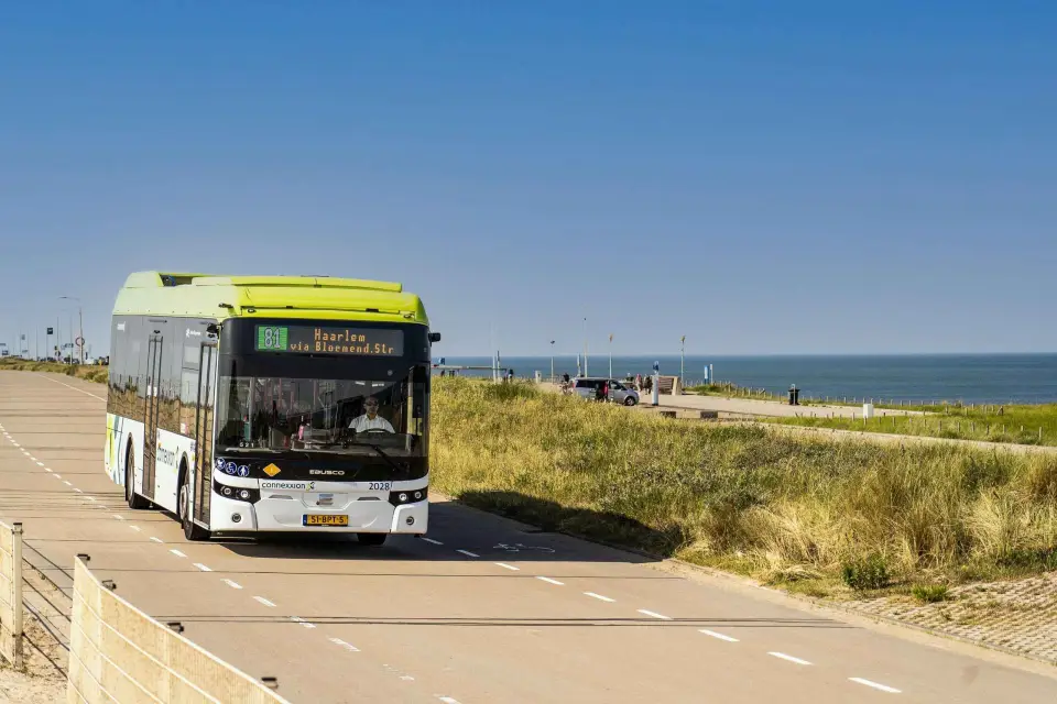 Amsterdam: Billete de un día en autobús a Haarlem y Zandvoort (playa)