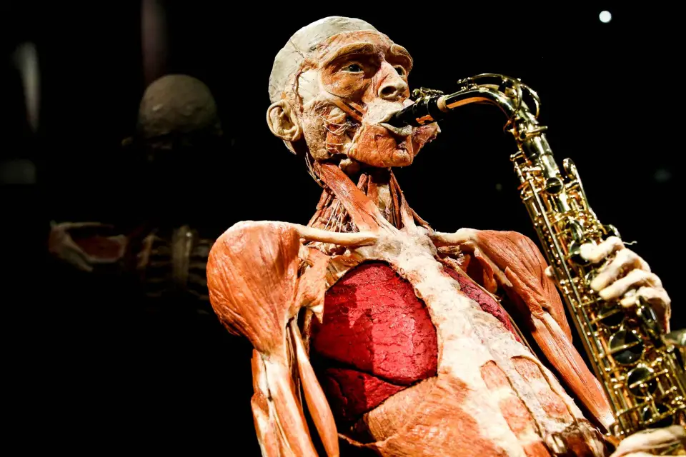 Body Worlds Ámsterdam: Entrada al Proyecto Felicidad