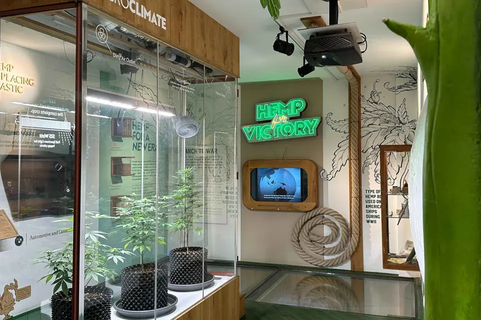 Amsterdam: Entrada al Museo del Cannabis