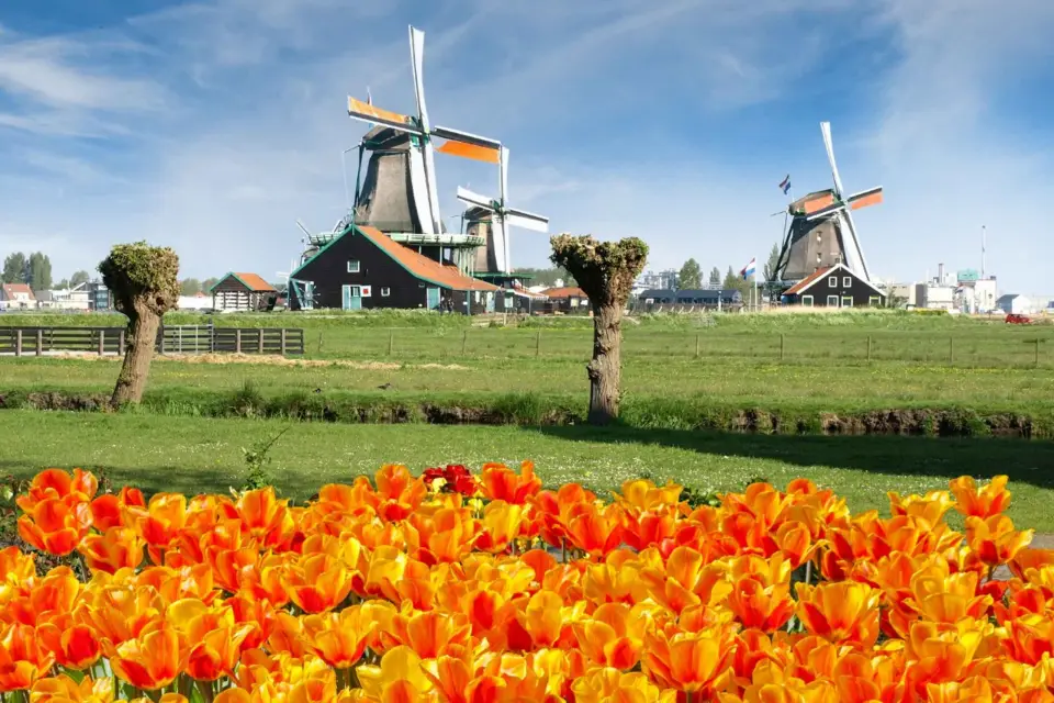 Amsterdam Excursión de un día a Keukenhof y los Molinos de Viento de Zaanse Schans