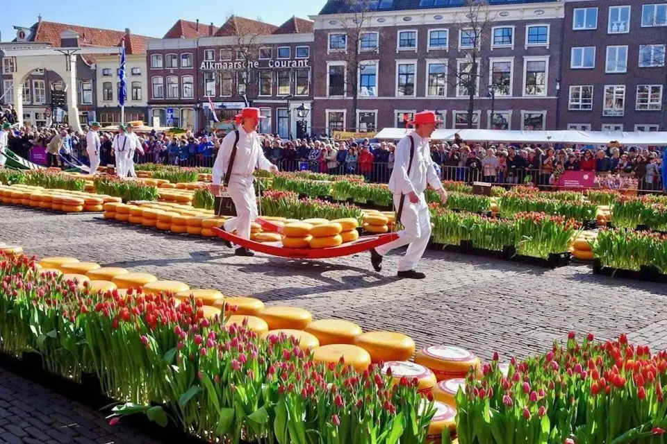 Desde Ámsterdam; Mercado del Queso de Alkmaar, Paseo en barco por el canal + Granja