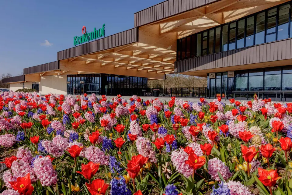 Amsterdam: Recorrido en Bicicleta de Medio Día por los Campos de Flores y Keukenhof