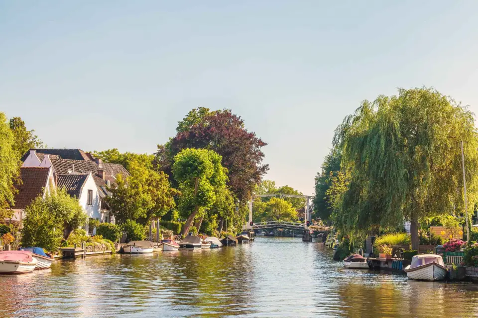 Río Vecht: Crucero de día completo con almuerzo