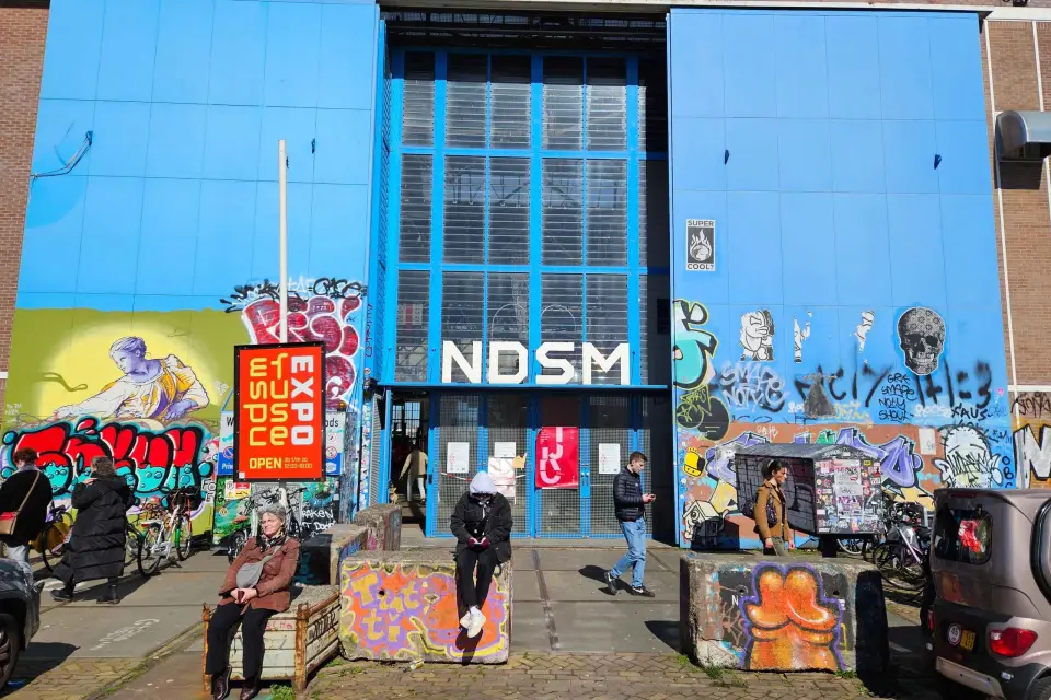 Amsterdam Ruta en bici por el norte de Ámsterdam