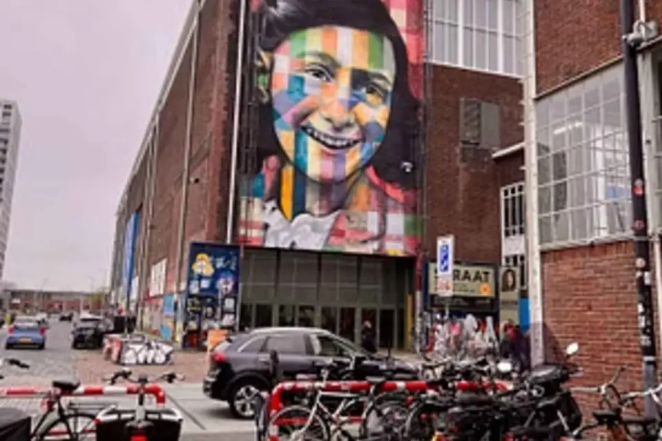 Tour de Arte Callejero y NDSM de Ámsterdam