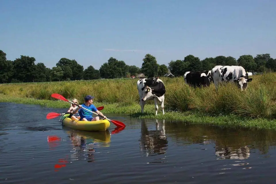 Amsterdam: Tour guiado en bicicleta y kayak por el campo