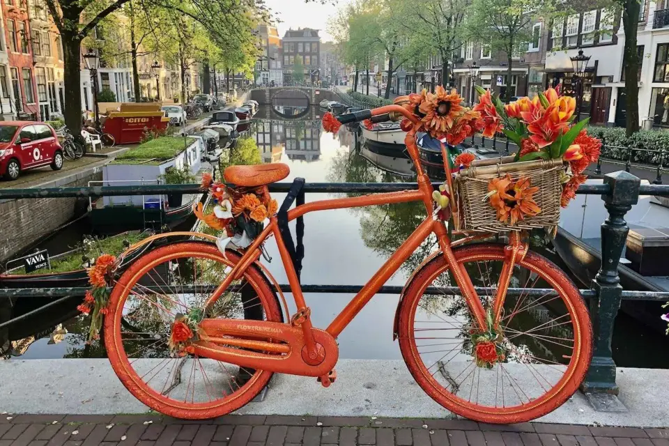 Amsterdam: Tour a pie en grupo reducido con guía divertido
