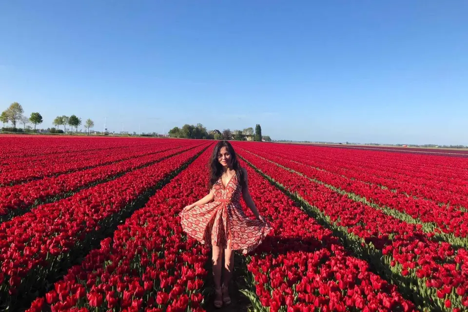 Desde Ámsterdam: Tulip Tour Keukenhof & Tour de la ciudad de Delft