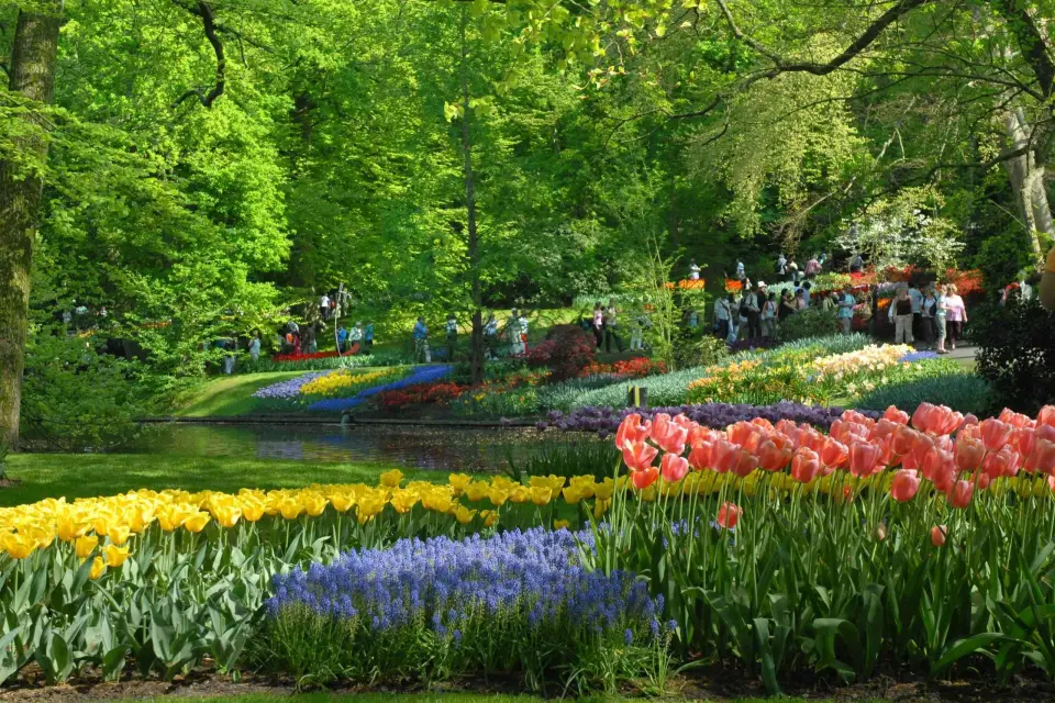 Amsterdam: Visita guiada de medio día a Keukenhof con entrada