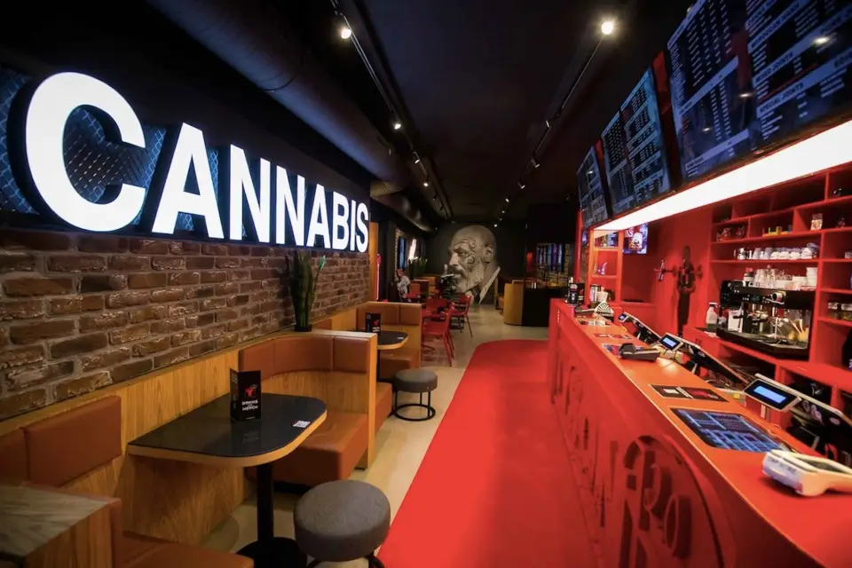 Amsterdam: Visita guiada a pie por los cafés de la Ganja