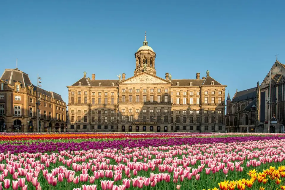 Amsterdam: Visita guiada privada sin colas al Palacio Real