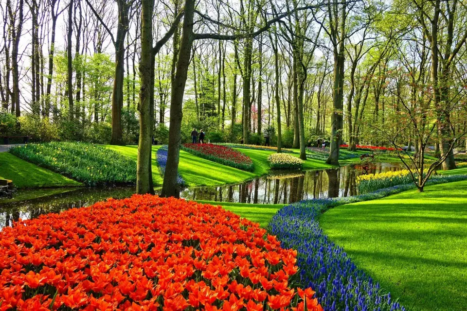 Desde Ámsterdam: Visita a los Jardines de Keukenhof y Giethoorn