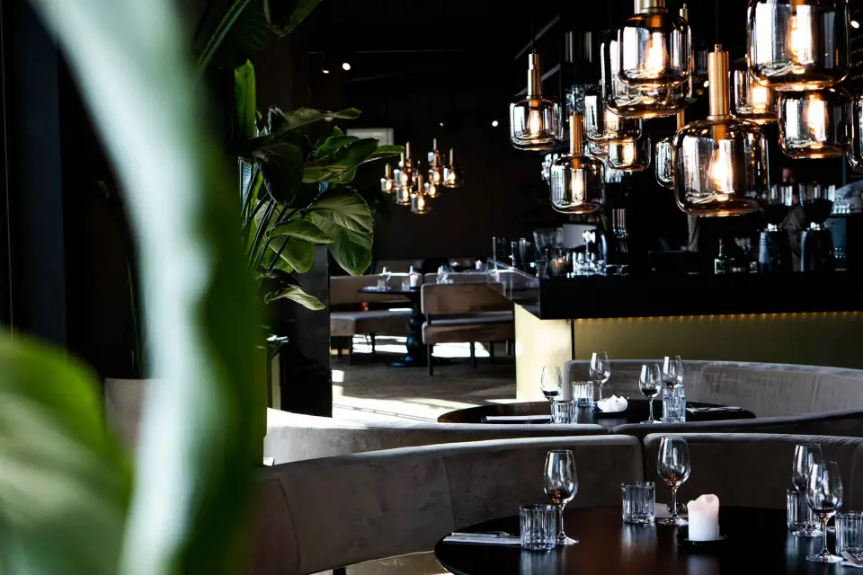 Amsterdam: Vlees & Co Cena de 3 platos y entrada para la vida nocturna