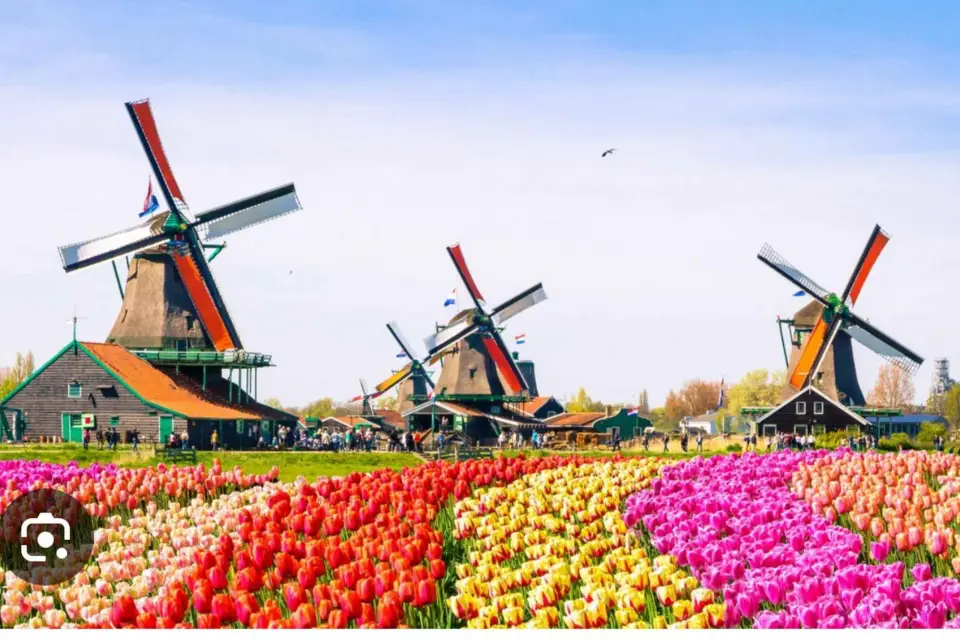 Zaanse Schans - Fábrica de queso -Volendam, tour privado.