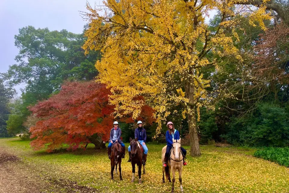 Paseo a caballo por la Estancia Villa María