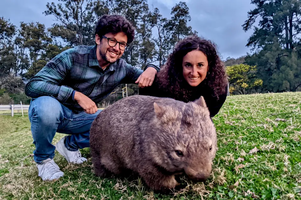 Avistamiento de canguros y wombats en las Southern Highlands + Fitzroy