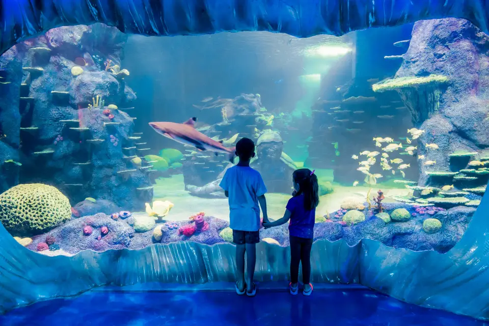 Billet pour le SEA LIFE® Sydney