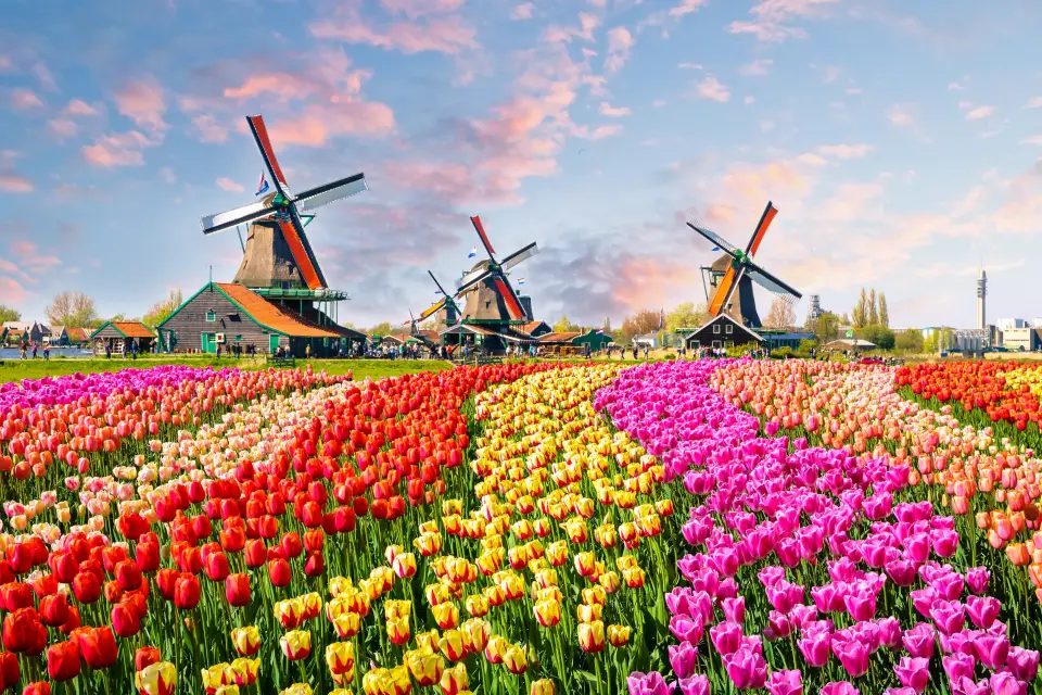 Escursione a Keukenhof e Delft