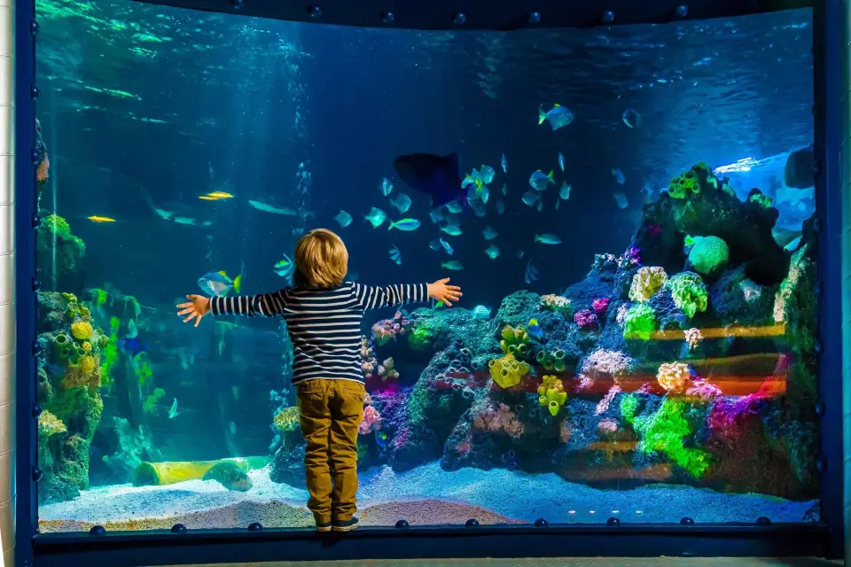 Entradas SEA LIFE Berlín
