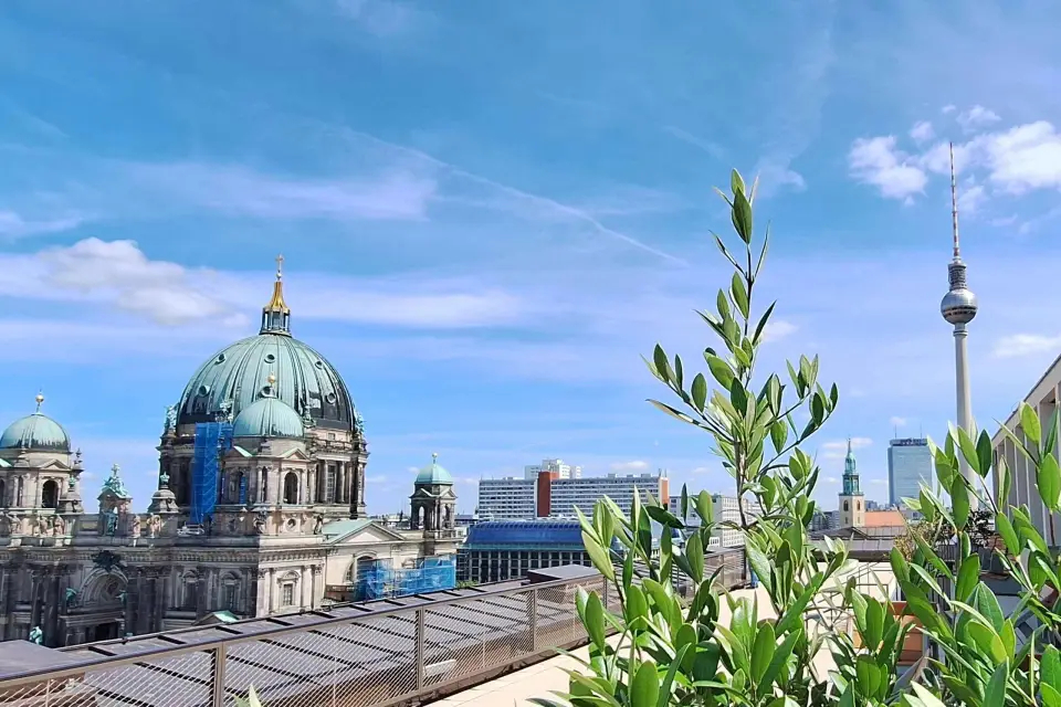 Berlín: Expreso de lo más destacado de la ciudad y Terraza Panorama en el tejado