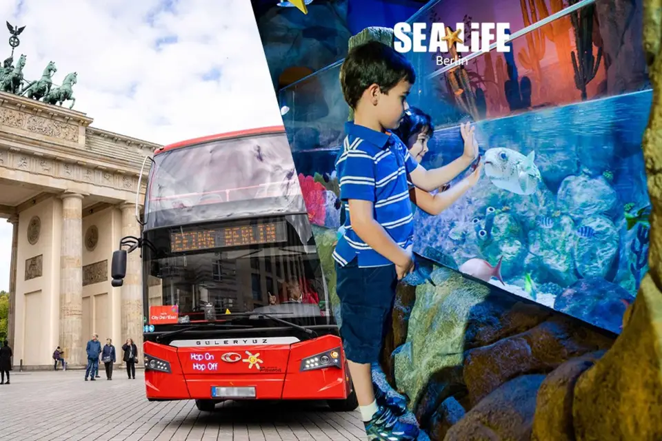 Berlín: Hop-On Hop-Off Bus y SEA Life Berlín