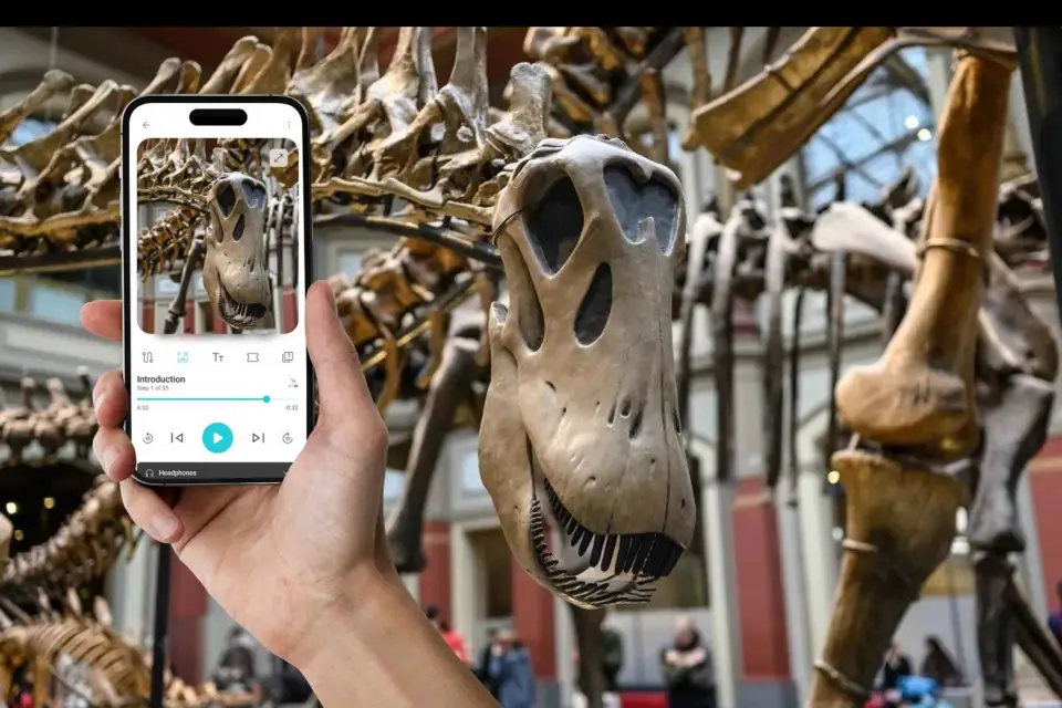 Berlín: Ticket de entrada y audioguía del Museo de Historia Natural (ENG)