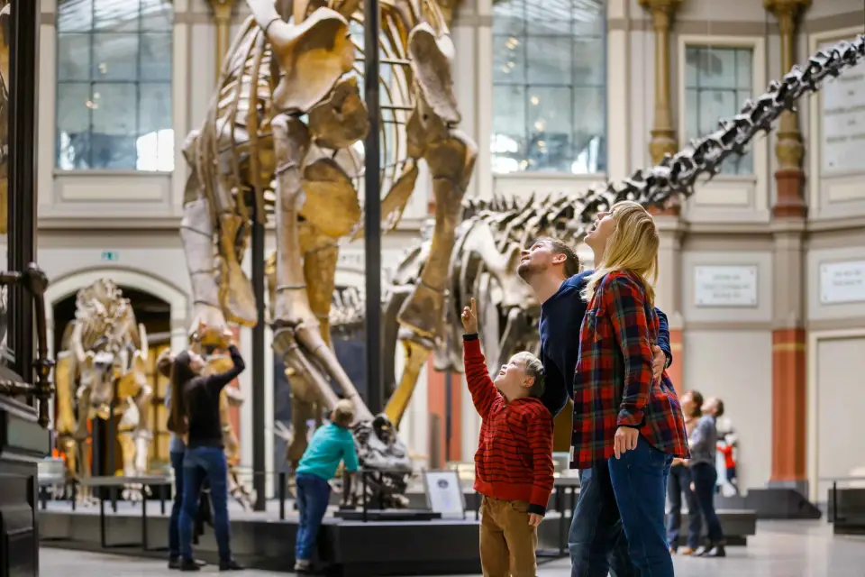 Berlín: ticket para el Museo de Historia Natural