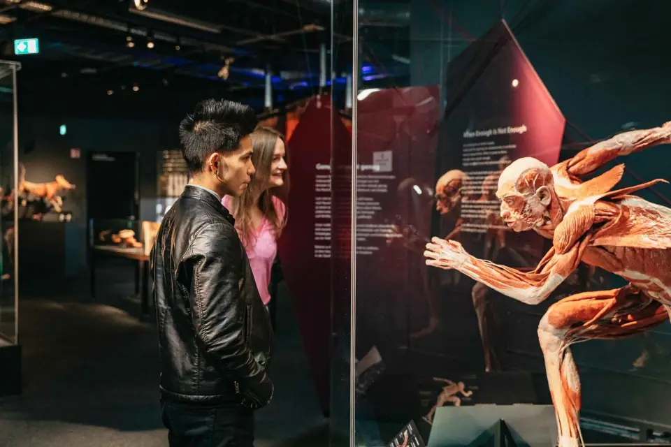 Berlín: Tickets de entrada al Museo BODY WORLDS de Berlín