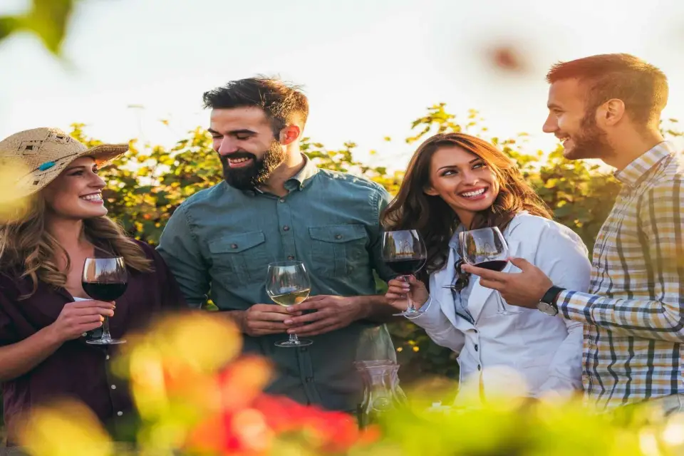 Tour de Cata de Vinos Alemanes en las Mejores Vinotecas de Berlín