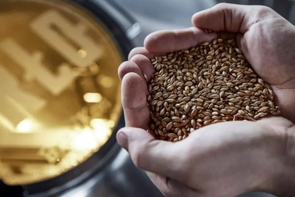 Berlín: Visita a BRLO BRWHOUSE y cata de cerveza artesana