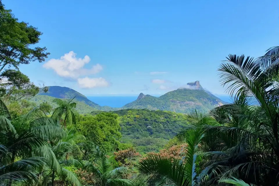 Free tour en 4x4 por el Parque Nacional de Tijuca