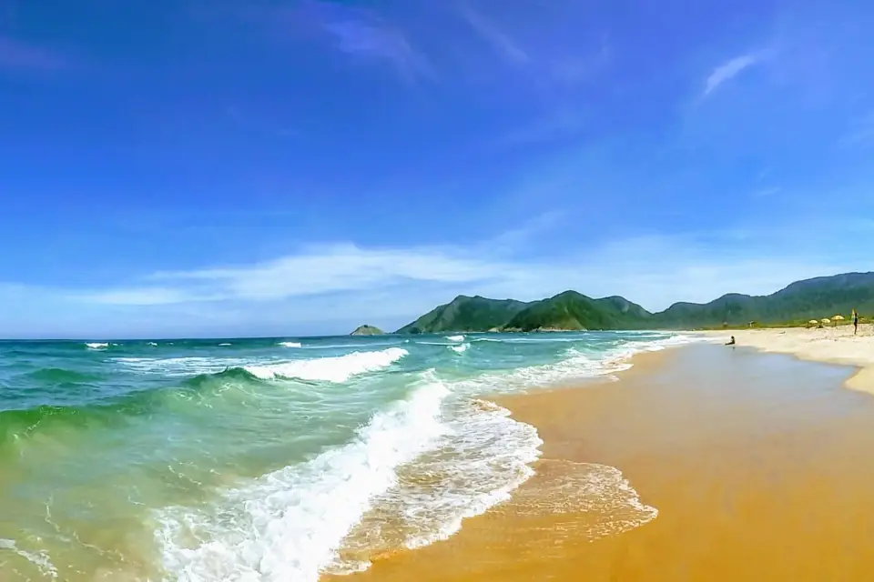 Visite des parcs nationaux de Río de Janeiro