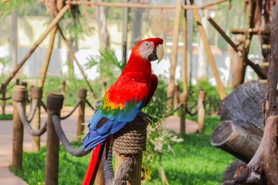 Transport avec billet pour le BioPark de Rio