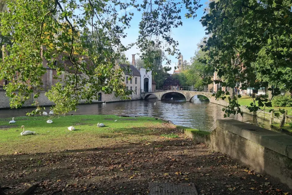 Brujas a través de los ojos de un grupo local y reducido