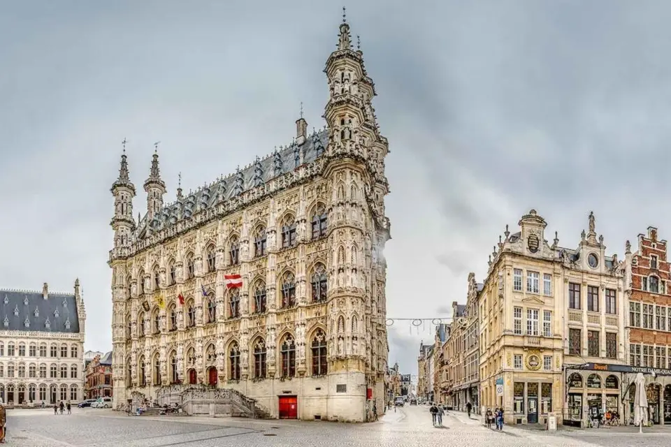 Desde Bruselas: Excursión de un día a Lovaina y Malinas