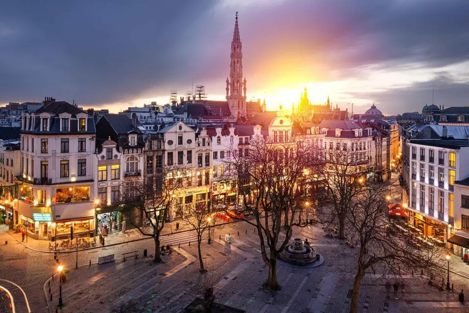 Bruselas: Tour Privado Nocturno de 2 Horas por el Lado Oscuro de Bruselas